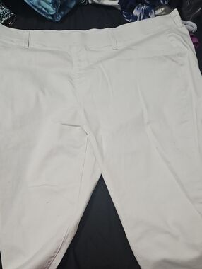 Terra And Sky Capris